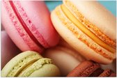 Poster Glanzend – Close-up van Verschillende Smaken Macarons Koekjes - 105x70 cm Foto op Posterpapier met Glanzende Afwerking