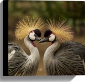 Canvas - Liefdevol Duo Kraanvogels - 30x30 cm Foto op Canvas Schilderij (Wanddecoratie op Canvas)