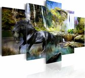 Schilderij - Zwart Paard voor Waterval IV, zwart/groen/blauw, Premium print , wanddecoratie ,5luik