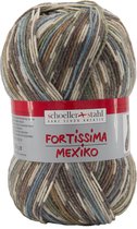 Schoeller Stahl Fortissima 4 draads sokkenwol 100 gram 9048