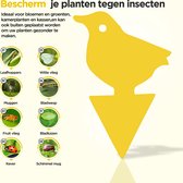 Professor Q Fruitvliegjes Vanger - Fruitvliegval - Rouwvliegjes Bestrijden - Insectenvanger val - Vliegenvanger- Vogel - 12 stuks