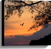 Canvas - Vogel Vliegend door de Lucht tijdens de Avondzon - 40x40 cm Foto op Canvas Schilderij (Wanddecoratie op Canvas)