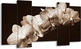 GroepArt - Schilderij - Orchidee - Sepia, Bruin - 120x65 5Luik - Foto Op Canvas - GroepArt 6000+ Schilderijen 0p Canvas Art Collectie - Wanddecoratie
