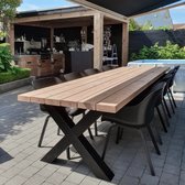 Plunderen Overtreding Waardeloos Tuintafel Douglas 250 x 90 cm - Stalen X poten+ Tijdelijk Gratis  Onderhoudspakket -... | bol.com