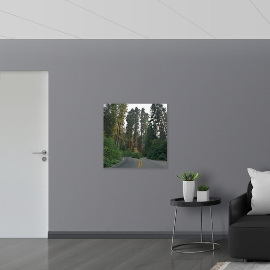 WallClassics - PVC Schuimplaat- Gele Streep op Weg langs Hoge Groene Bomen - 80x80 cm Foto op PVC Schuimplaat