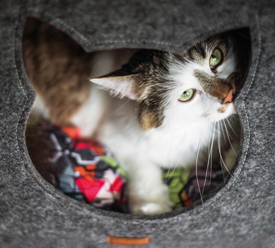 Amiplay Cat House QuickPress 2in1 Hygge gris / 33x42x36cm