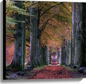WallClassics - Canvas - Pad in Bos tijdens de Herfst - 60x60 cm Foto op Canvas Schilderij (Wanddecoratie op Canvas)