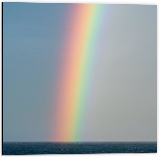 WallClassics - Dibond - Heldere Regenboog Landend in Zeewater - 50x50 cm Foto op Aluminium (Met Ophangsysteem)