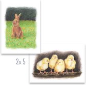 Paaskaarten | Set van 10 | Kuikentjes en konijn in pastel | Illu-Straver