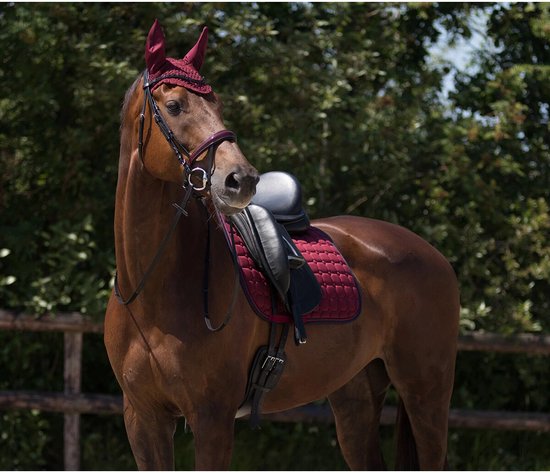 QHP Oornetje Florence - maat Cob - bordeaux — afbeelding 2