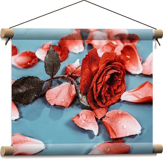 Textielposter - Losse Rozenblaadjes met Rode Roos Vol Waterdruppels - 40x30 cm Foto op Textiel