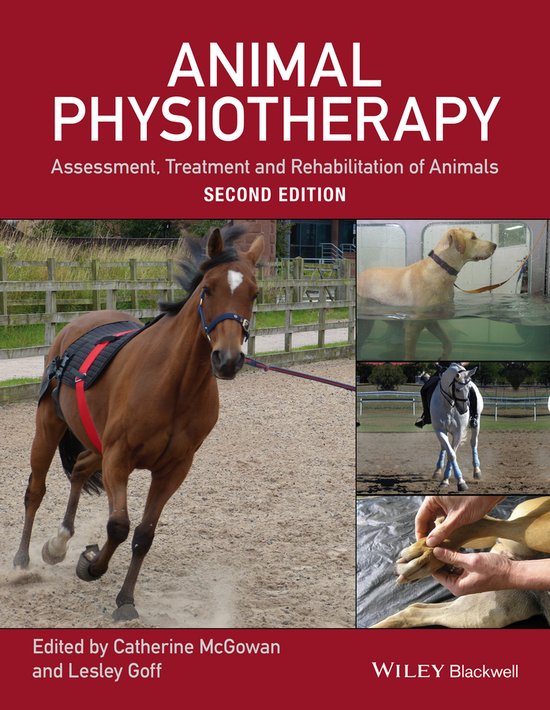 Animal Physiotherapy - cover