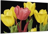 Schilderij Op Canvas Tulpen - Roze, Geel, Groen - 120x70cm 1Luik - Foto Op Canvas - GroepArt 6000+ Schilderijen 0p Canvas Art Collectie - Wanddecoratie - Woonkamer - Slaapkamer - Canvas Print