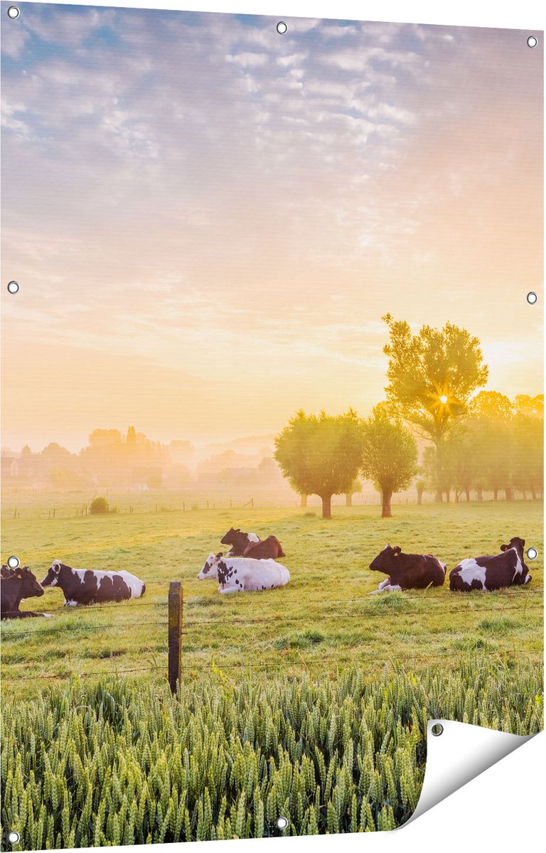 Gards Tuinposter Koeien in de Wei tijdens Zonsopgang - 90x120 cm - Tuindoek - Tuindecoratie - Wanddecoratie buiten - Tuinschilderij Multikleur