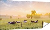 Gards Poster de jardin Vaches dans le pré au lever du soleil - 160x80 cm - Toile de jardin - Décoration de jardin - Décoration murale extérieur - Tableau de jardin