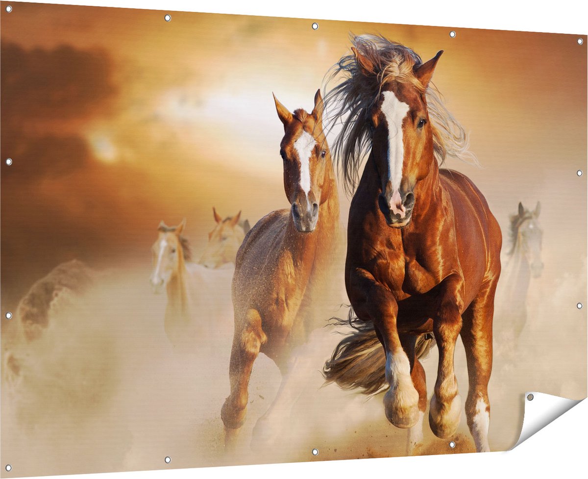 Gards Tuinposter Wilde Paarden in het Zand - 180x120 cm - Tuindoek - Tuindecoratie - Wanddecoratie buiten - Tuinschilderij Multikleur