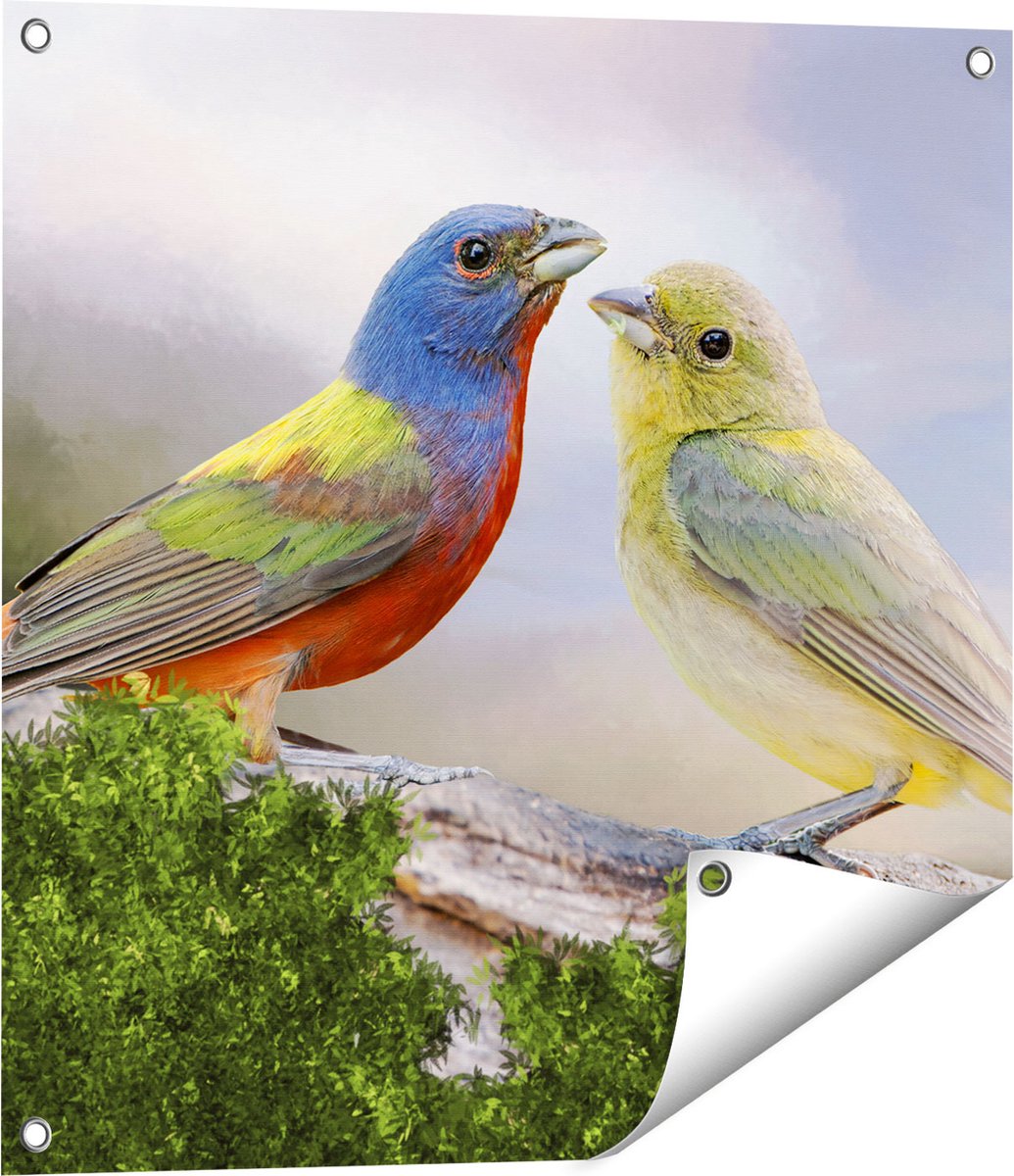 Gards Tuinposter Getekende Gorzen Vogels - Kleur - Abstract - 60x60 cm - Tuindoek - Tuindecoratie - Wanddecoratie buiten - Tuinschilderij Multikleur