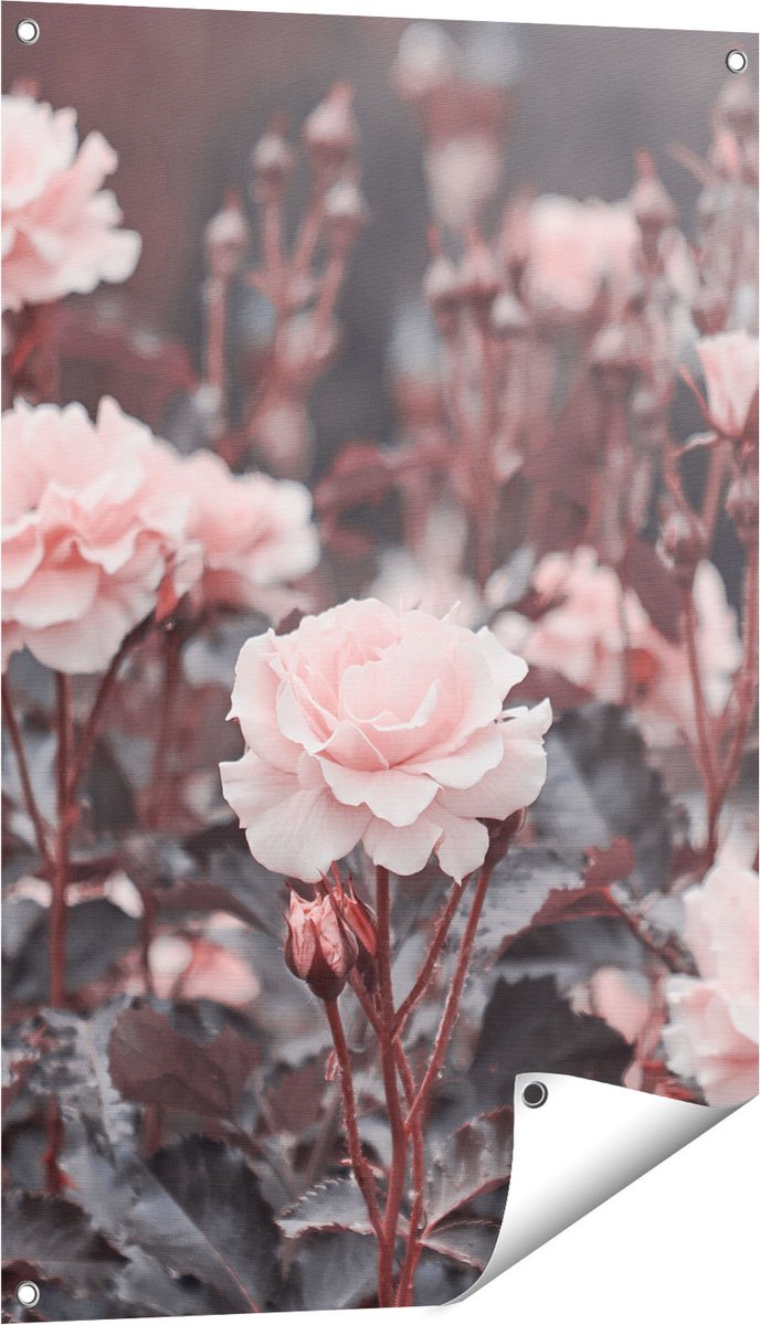 Gards Tuinposter Roze Rozen Bloemen - 60x90 cm - Tuindoek - Tuindecoratie - Wanddecoratie buiten - Tuinschilderij Multikleur