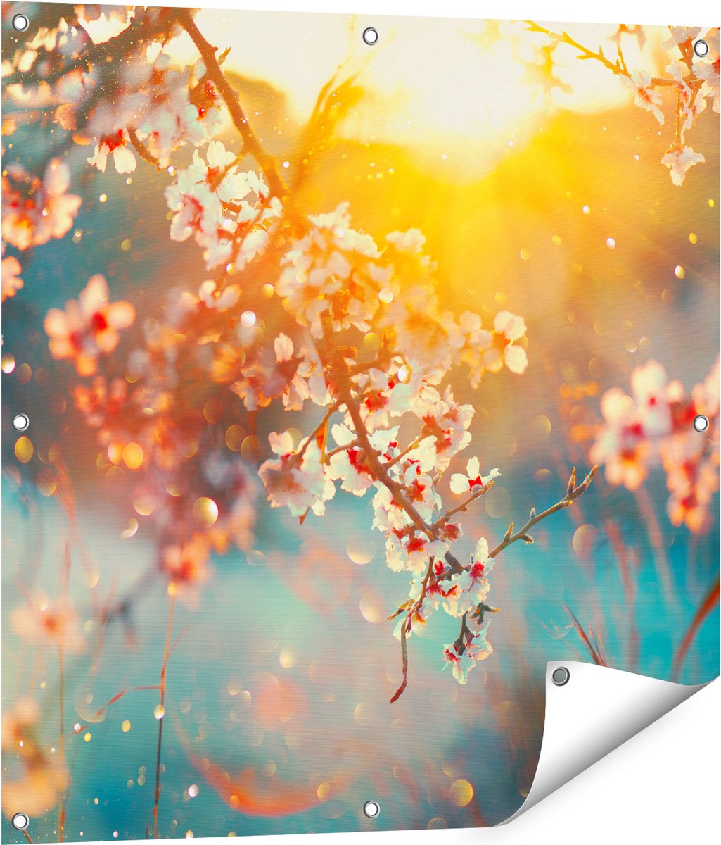 Gards Tuinposter Bloesemboom tijdens Zonsondergang - Bloem - 80x80 cm - Tuindoek - Tuindecoratie - Wanddecoratie buiten - Tuinschilderij Multikleur