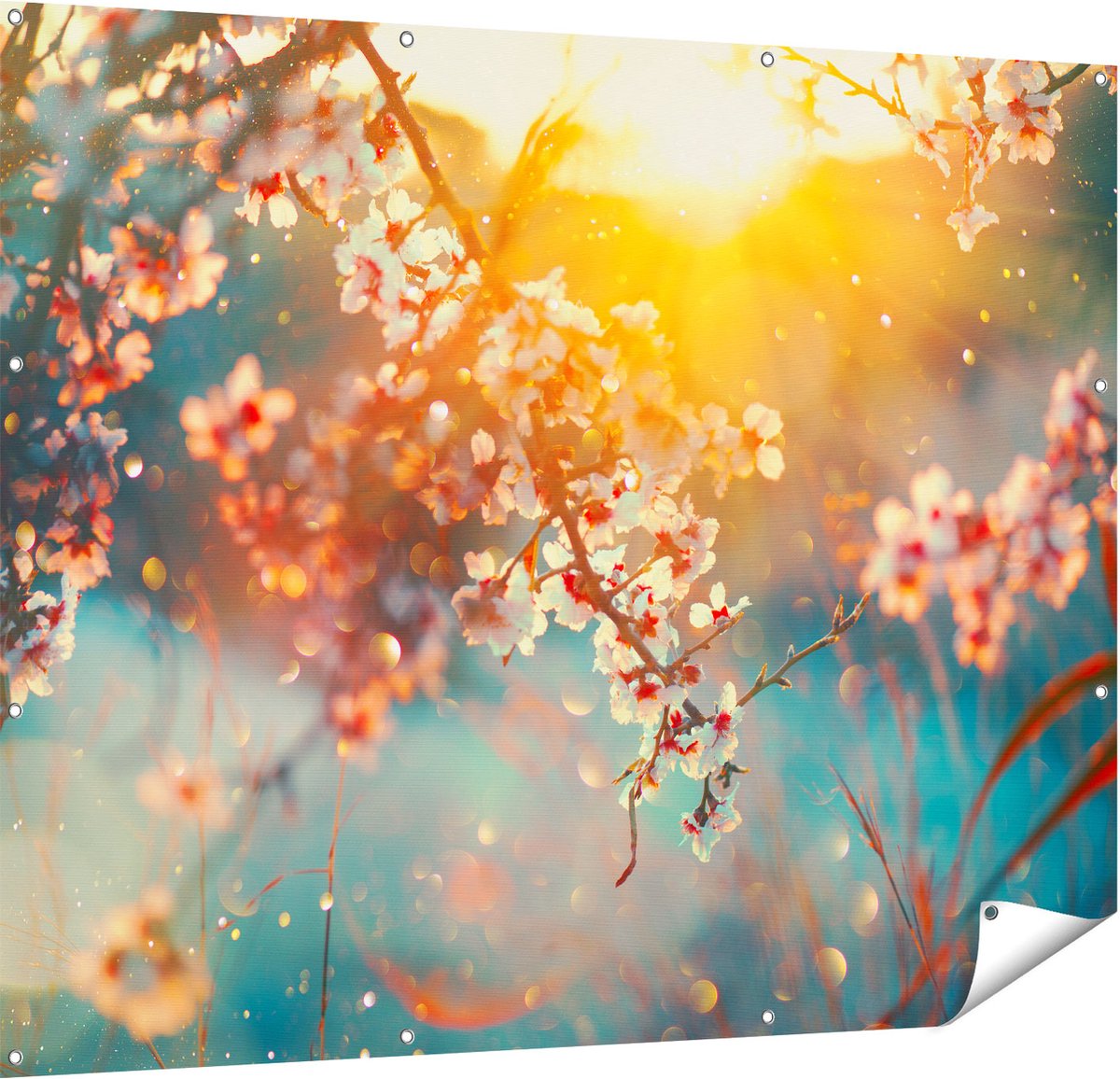 Gards Tuinposter Bloesemboom tijdens Zonsondergang - Bloem - 150x120 cm - Tuindoek - Tuindecoratie - Wanddecoratie buiten - Tuinschilderij Multikleur