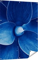 Gards Tuinposter Blauwe Agave Plant - Bloem - 90x120 cm - Tuindoek - Tuindecoratie - Wanddecoratie buiten - Tuinschilderij