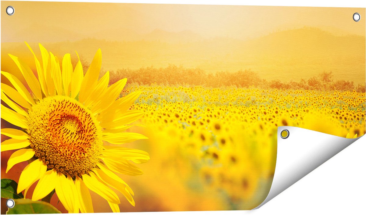 Gards Tuinposter Zonnebloemen Veld met Zonopkomst - 80x40 cm - Tuindoek - Tuindecoratie - Wanddecoratie buiten - Tuinschilderij Multikleur