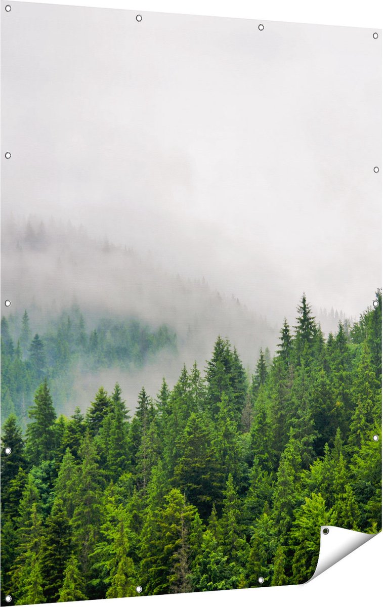 Gards Tuinposter Groen Bos met Bomen tijdens de Mist - 120x160 cm - Tuindoek - Tuindecoratie - Wanddecoratie buiten - Tuinschilderij Multikleur