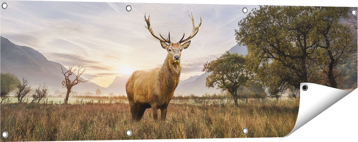 Gards Tuinposter Hert in het Landschap - 120x40 cm - Tuindoek - Tuindecoratie - Wanddecoratie buiten - Tuinschilderij Multikleur
