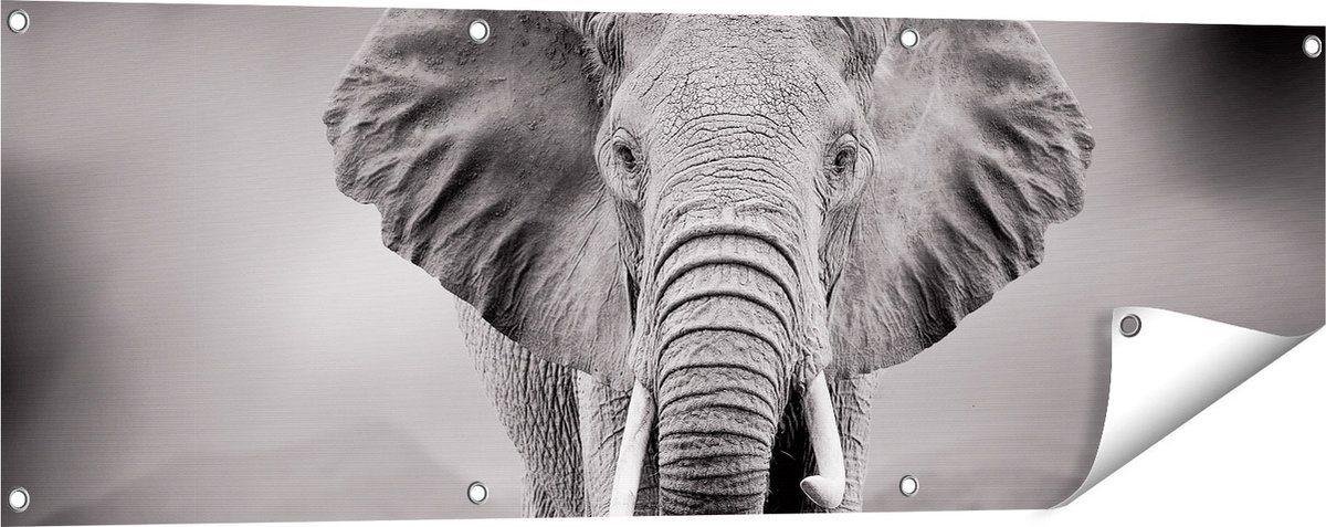 Gards Tuinposter Olifant - Zwart Wit - 120x40 cm - Tuindoek - Tuindecoratie - Wanddecoratie buiten - Tuinschilderij Multikleur