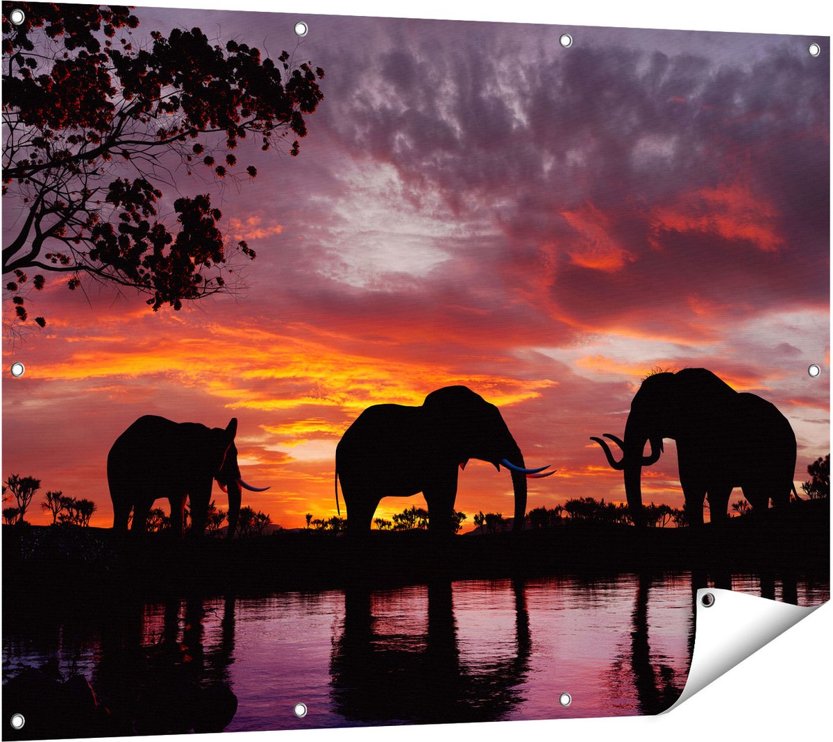 Gards Tuinposter Olifanten tijdens Zonsondergang - Silhouet - 120x90 cm - Tuindoek - Tuindecoratie - Wanddecoratie buiten - Tuinschilderij Multikleur