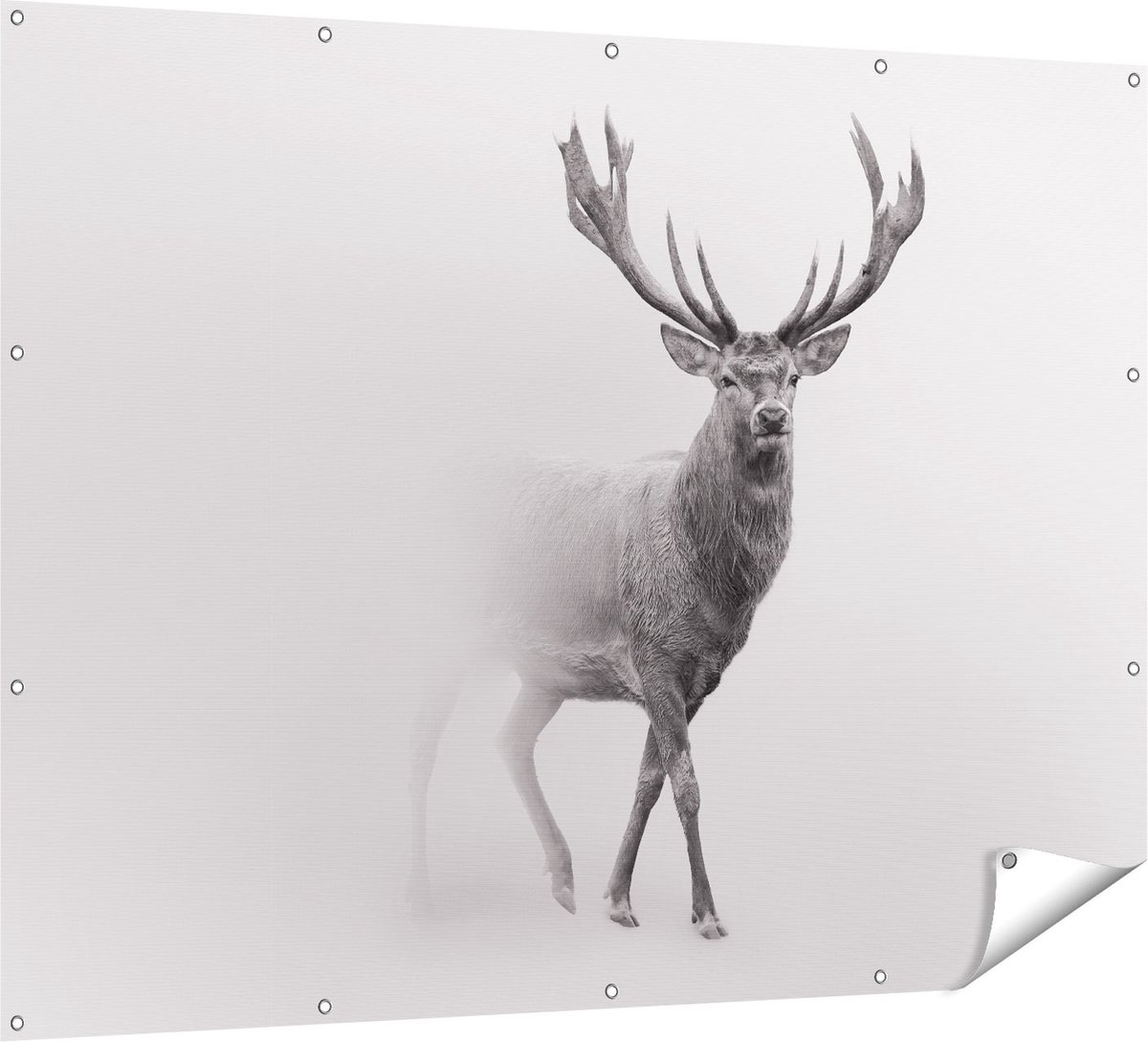 Gards Tuinposter Hert - Zwart Wit - 160x120 cm - Tuindoek - Tuindecoratie - Wanddecoratie buiten - Tuinschilderij Multikleur