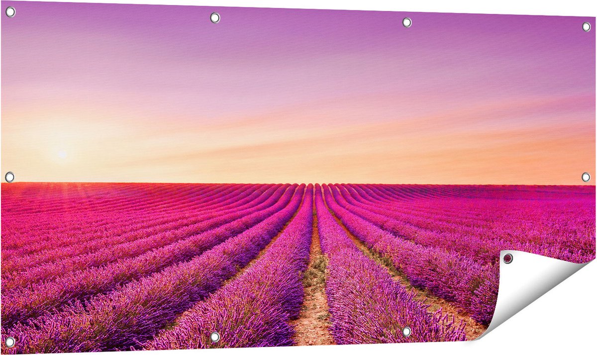 Gards Tuinposter Paarse Lavendel Bloemenveld - 120x60 cm - Tuindoek - Tuindecoratie - Wanddecoratie buiten - Tuinschilderij Multikleur
