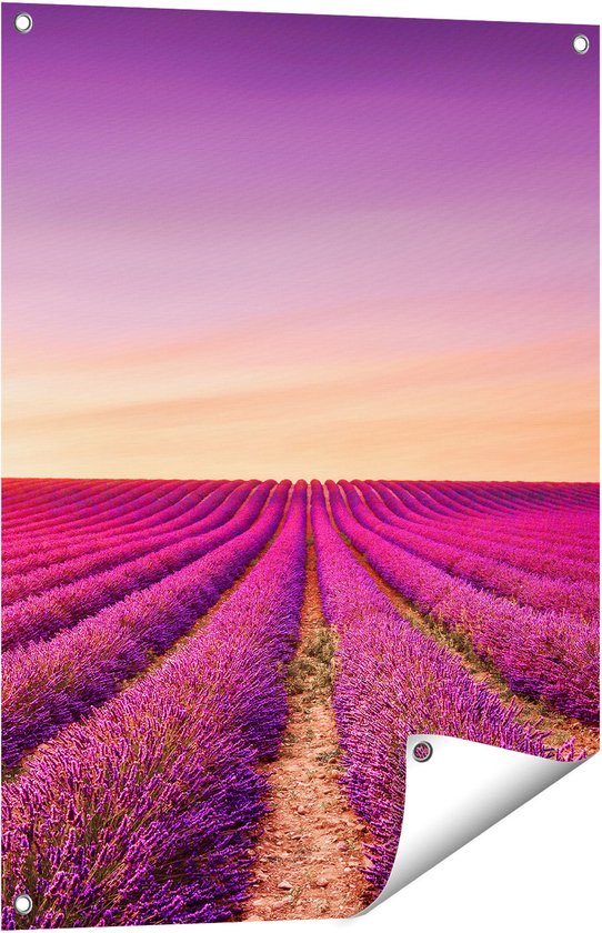 Decoratiekransen - Temu - Zee - Wanddecoratie kopen? | Korting tot
