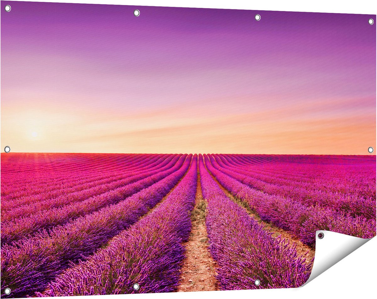 Gards Tuinposter Paarse Lavendel Bloemenveld - 120x80 cm - Tuindoek - Tuindecoratie - Wanddecoratie buiten - Tuinschilderij Multikleur
