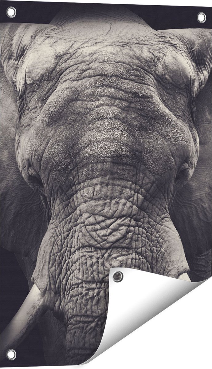 Gards Tuinposter Olifantenkop - Olifant - Zwart Wit - 40x60 cm - Tuindoek - Tuindecoratie - Wanddecoratie buiten - Tuinschilderij Multikleur