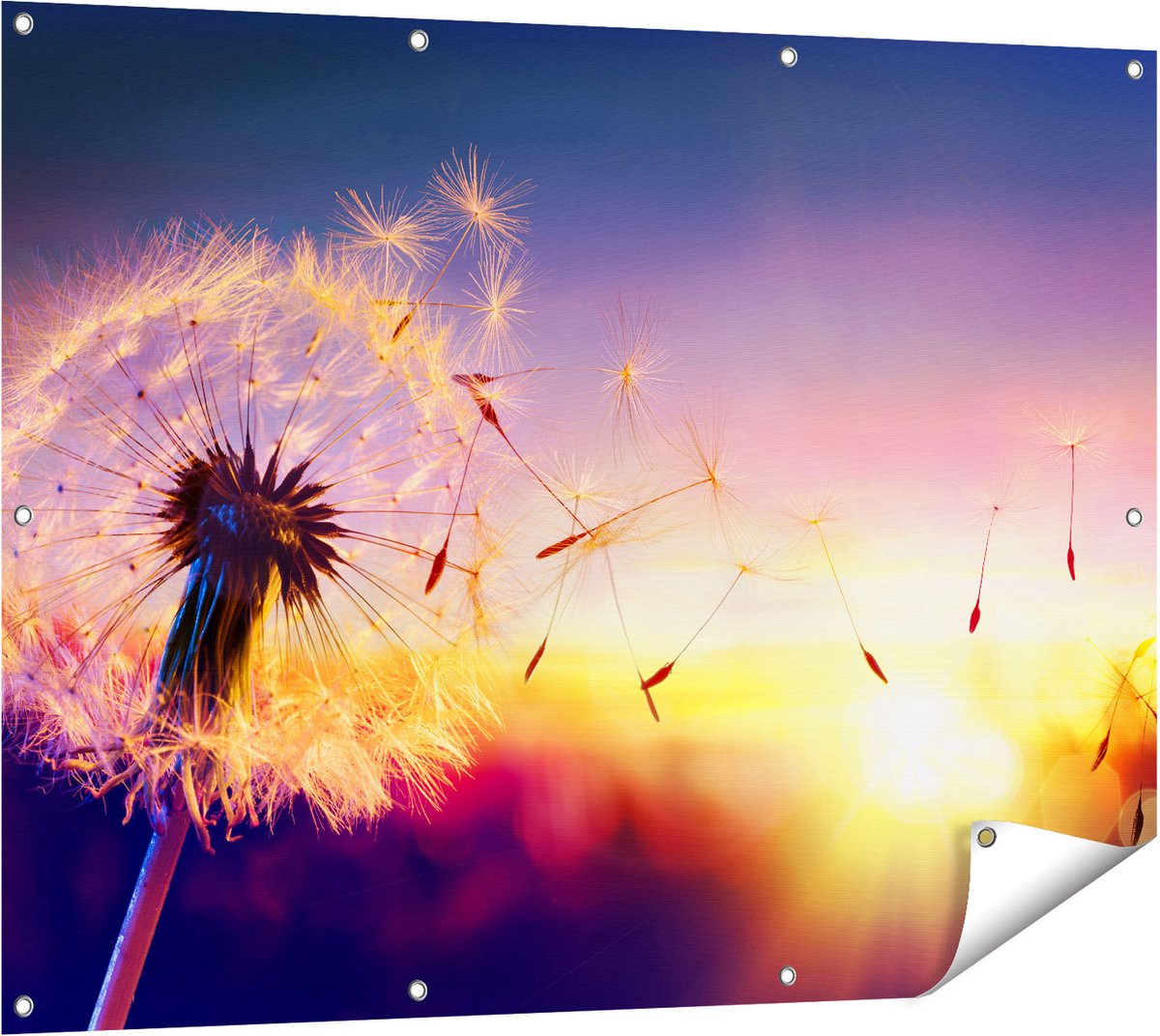 Gards Tuinposter Paardenbloem tijdens Zonsondergang - 120x90 cm - Tuindoek - Tuindecoratie - Wanddecoratie buiten - Tuinschilderij Multikleur
