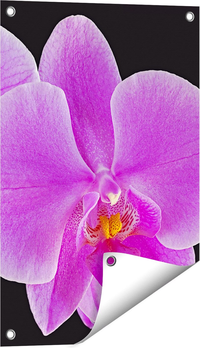 Gards Tuinposter Licht Paarse Orchidee - Bloem - 40x60 cm - Tuindoek - Tuindecoratie - Wanddecoratie buiten - Tuinschilderij Multikleur