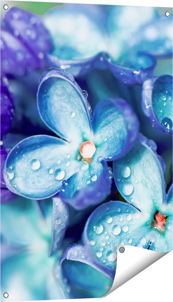 Gards Tuinposter Blauwe Lila Bloemen - Seringen - 60x90 cm - Tuindoek - Tuindecoratie - Wanddecoratie buiten - Tuinschilderij Multikleur