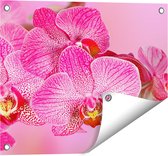 Gards Tuinposter Roze Orchidee Bloemen - 50x40 cm - Tuindoek - Tuindecoratie - Wanddecoratie buiten - Tuinschilderij
