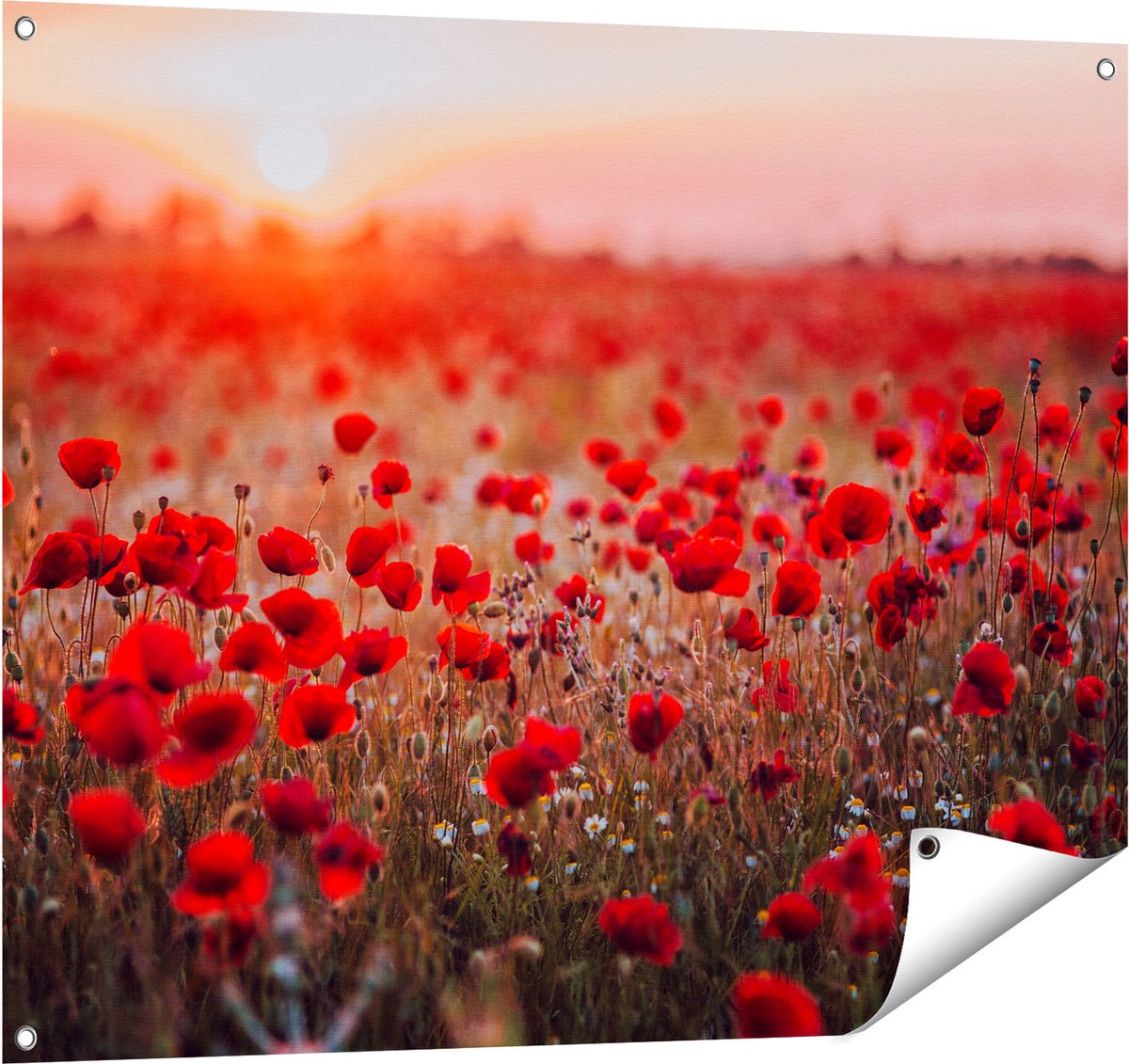Gards Tuinposter Rode Klaprozen Bloemenveld Zonsondergang - 100x80 cm - Tuindoek - Tuindecoratie - Wanddecoratie buiten - Tuinschilderij Multikleur