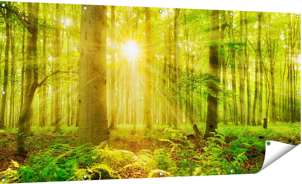 Gards Tuinposter Groen Bos met Schijnende Zonnestralen - 180x90 cm - Tuindoek - Tuindecoratie - Wanddecoratie buiten - Tuinschilderij Multikleur
