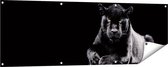 Gards Tuinposter Zwarte Panter - 150x50 cm - Tuindoek - Tuindecoratie - Wanddecoratie buiten - Tuinschilderij