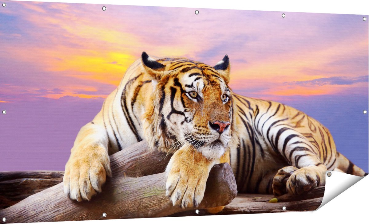 Gards Tuinposter Tijger tijdens Zonsondergang - 180x90 cm - Tuindoek - Tuindecoratie - Wanddecoratie buiten - Tuinschilderij Multikleur