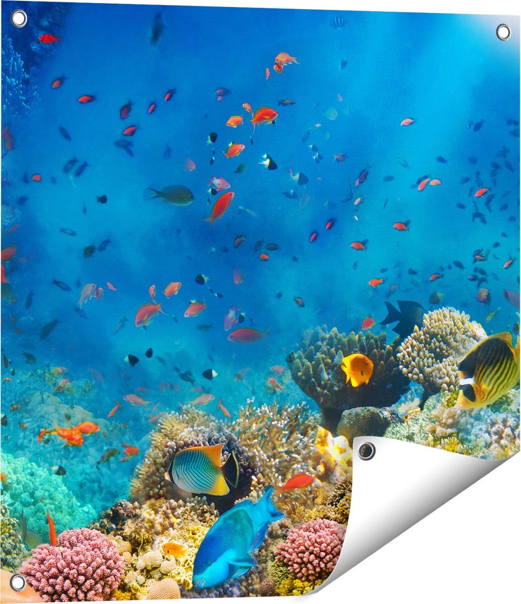 Gards Tuinposter Onderwater Vissen met Koraal in de Zee - 60x60 cm - Tuindoek - Tuindecoratie - Wanddecoratie buiten - Tuinschilderij Multikleur