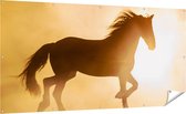 Gards Tuinposter Silhouet van een Paard - 200x100 cm - Tuindoek - Tuindecoratie - Wanddecoratie buiten - Tuinschilderij