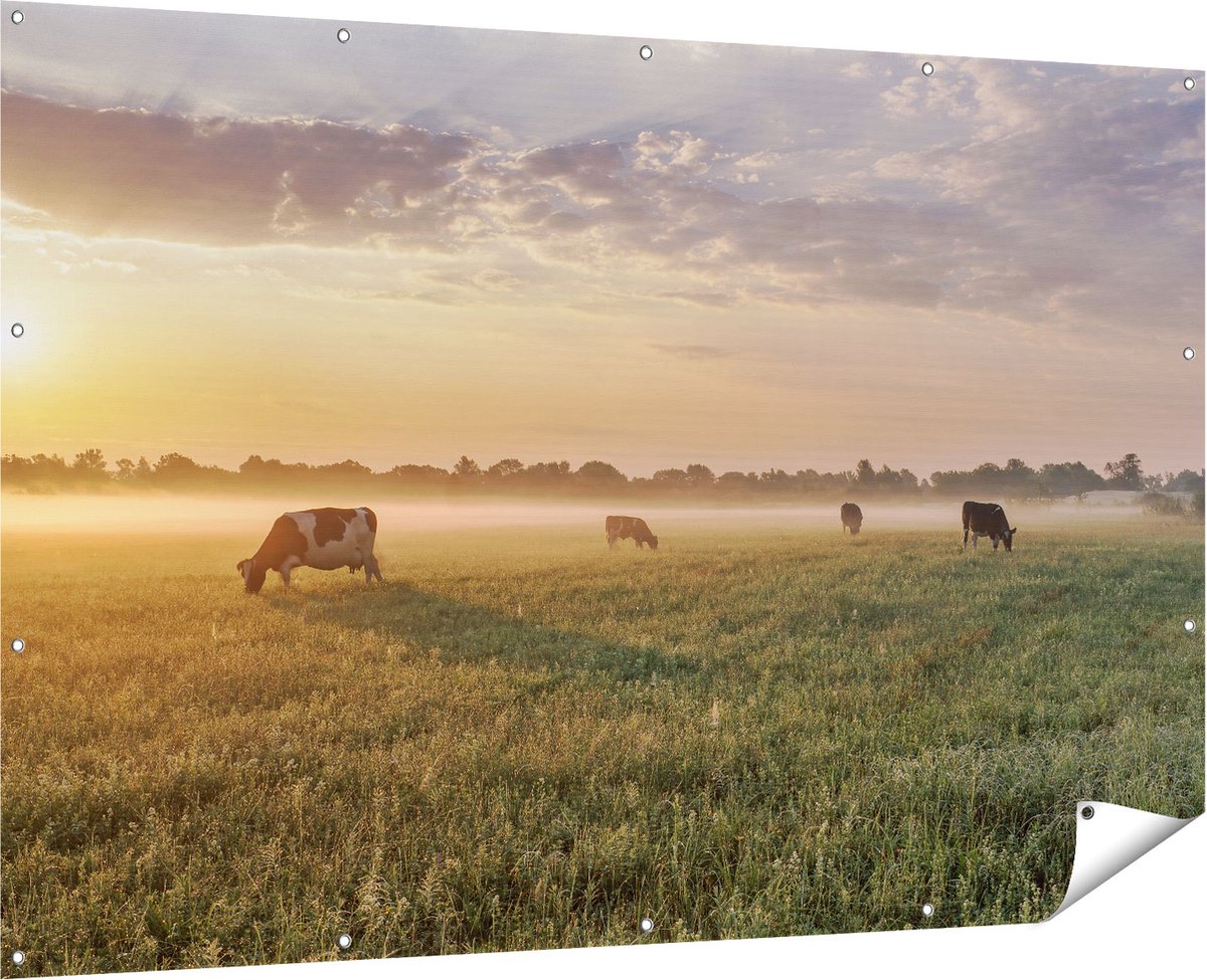 Gards Tuinposter Koeien in de Wei tijdens Zonsopkomst - 180x120 cm - Tuindoek - Tuindecoratie - Wanddecoratie buiten - Tuinschilderij Multikleur