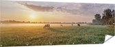 Gards Tuinposter Koeien in de Wei tijdens Zonsopkomst - 210x70 cm - Tuindoek - Tuindecoratie - Wanddecoratie buiten - Tuinschilderij