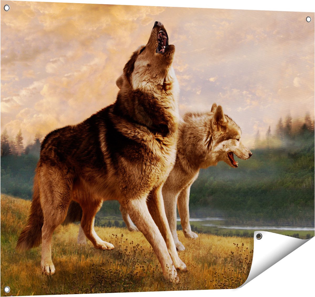 Gards Tuinposter Twee Wolven op het Gras - 100x80 cm - Tuindoek - Tuindecoratie - Wanddecoratie buiten - Tuinschilderij Multikleur