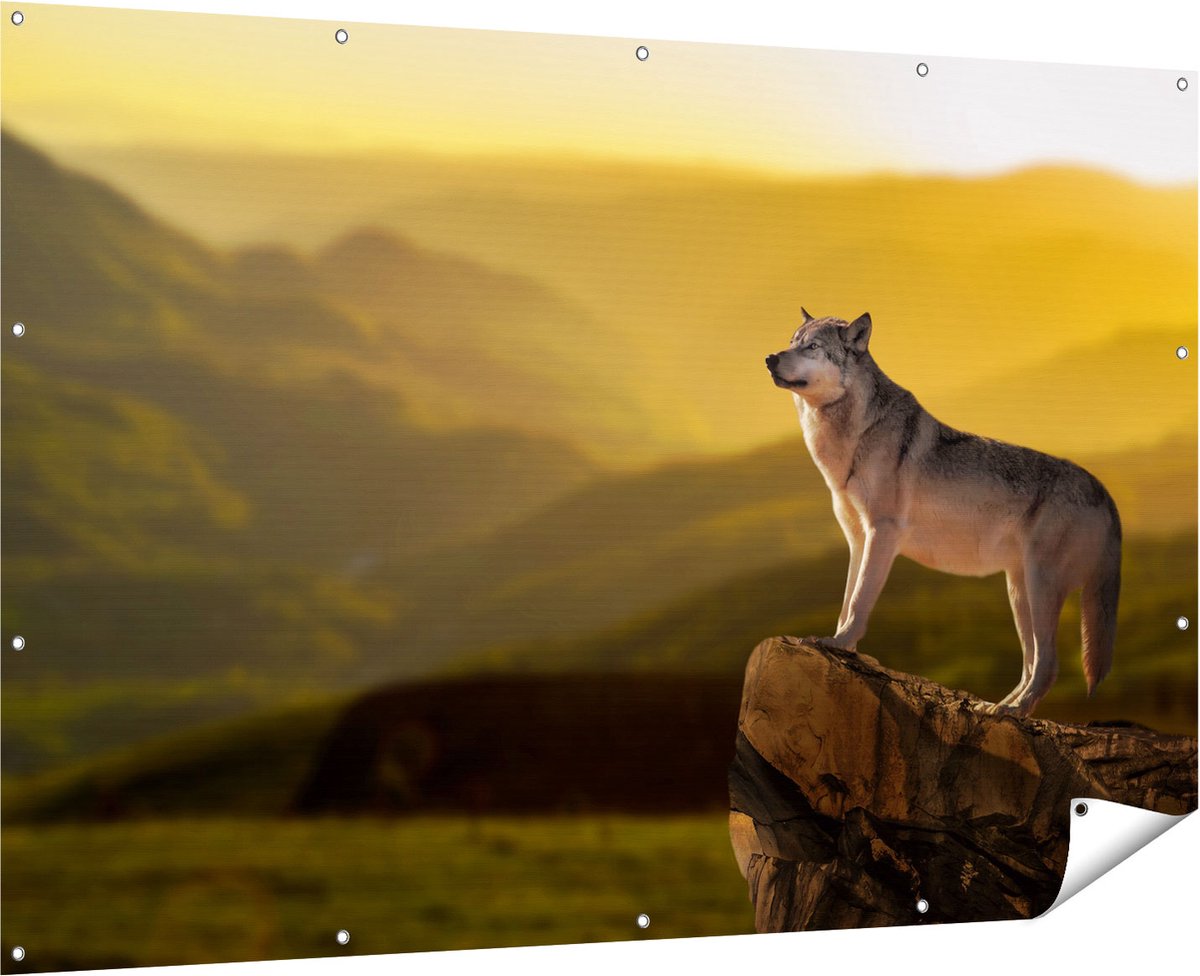 Gards Tuinposter Wolf op een Rots met een Heuvel Landschap - 180x120 cm - Tuindoek - Tuindecoratie - Wanddecoratie buiten - Tuinschilderij Multikleur