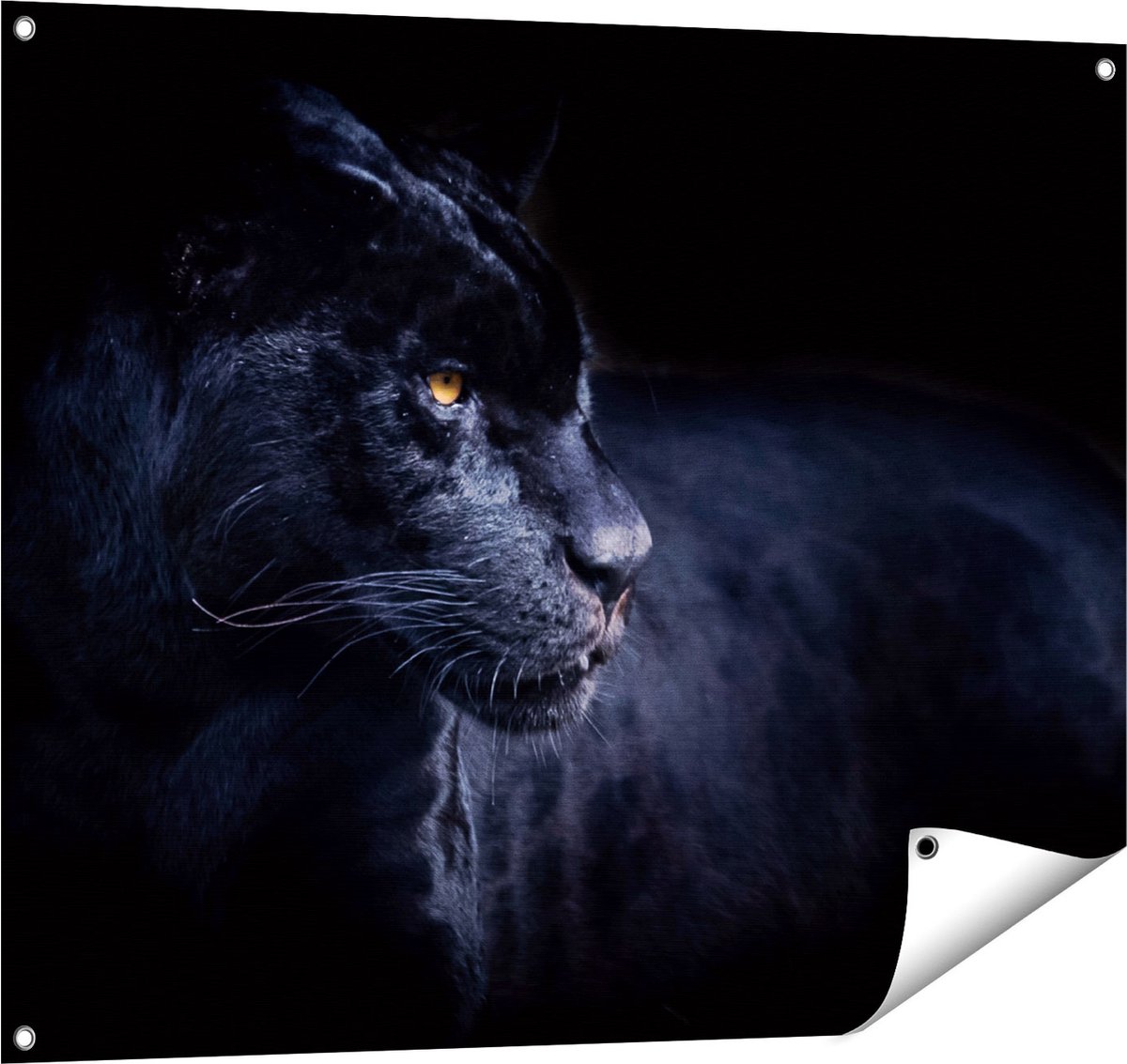 Gards Tuinposter Zwarte Panter - 100x80 cm - Tuindoek - Tuindecoratie - Wanddecoratie buiten - Tuinschilderij Multikleur